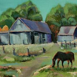 Old farm barns by Lana Sylber