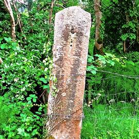 Old Gatepost by Stephanie Moore