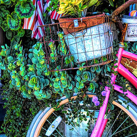 Old Glory on a Pink Bicycle by Floyd Snyder