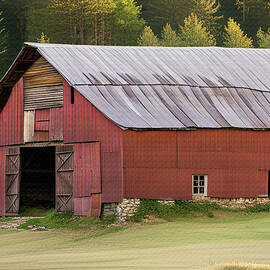 Old Vermont Barn Sunlight Pines by David Dehner