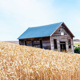 Old wood school house 2 by Mike Wheeler