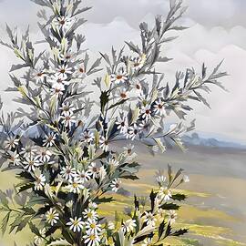 Olearia Stellulana Family Asteraceae approx by From Natures Arms