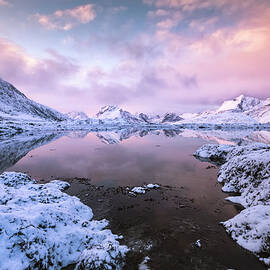 Norway Song - Pink Winter Morning by Alinna Lee