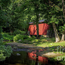 On the Banks of Crum Creek, Bartram's Covered Bridge, PA by Liesl Walsh