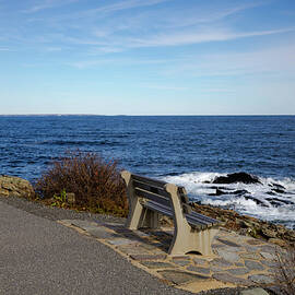 One Empty Bench Maine by Lorraine Palumbo