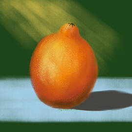 Orange Pastel by Gary F Richards
