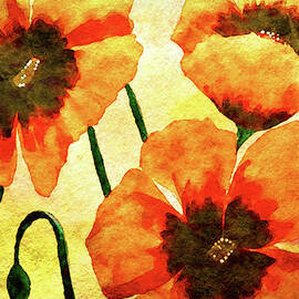 Orange Poppies in Watercolor by Susan Maxwell Schmidt