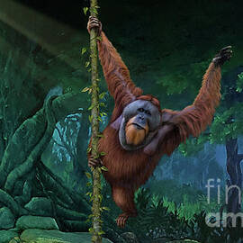 Orangutan Just Barely Hanging On by Robert Corsetti