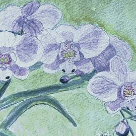 Orchids in Spring by Angela Davies
