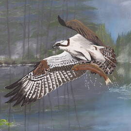 OSPREY FISHING 1244 pastels by Dreamz -