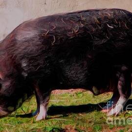 Ossabaw Island Pig with Oil Painting Effect