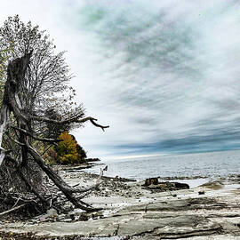 Oswego 1 by Jason Nicholas