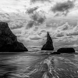 Otherworldly - Black and White by Loree Johnson