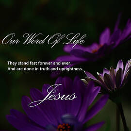 Our Word Of Life, Jesus by Dennis Burton