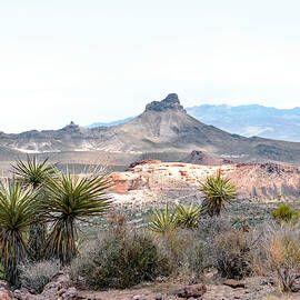 Out Toward Oatman by Gordon Beck