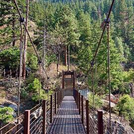 Over the River  by Christy Pooschke
