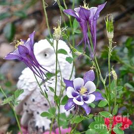 Owl, Bug and and Purple Columbines by Phyllis Kaltenbach