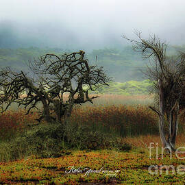Pacifica Coast Meadow by Robin Amaral