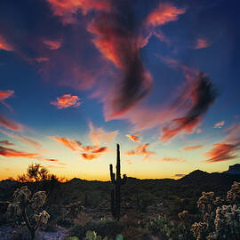Painted Desert Skies Of The Sonoran  by Saija Lehtonen