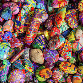 Painted Rock Garden by Erin O'Keefe