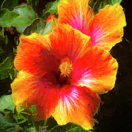 Painterly Tropical Hibiscus by Ginger Stein