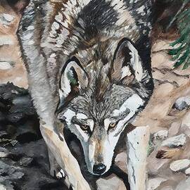 Painting Wolf wildlife predator nature wolf portr by N Akkash