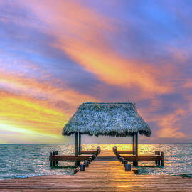 Palapa Dock Beautiful Sunset  by David Zanzinger