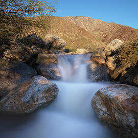 Palm Canyon Morning Waterfall