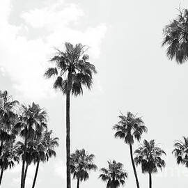 Palm Trees Beauty #8 #tropical #wall #art  by Anitas and Bellas Art