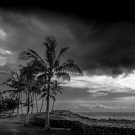 Palm Trees under Threatening Sky at Ko' Olina, Oahu, Hawaii by Harry Beugelink