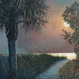 Palmetto Moon with Path by Blue  Sky