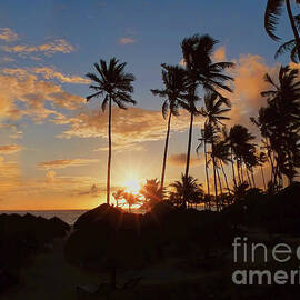 Palmtree Sunrise by Nicole Markmann Nelson