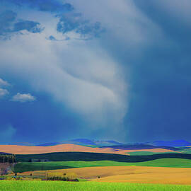 Palouse Patterns