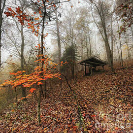 South Plateau Shelter by Charley Carter