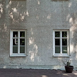 Panoramic detailed view of Building exterior under tree shade with bunch of retro windows and plant kept on concrete road next to pipe. Background image of house exterior with windows pattern. by Arpan Bhatia
