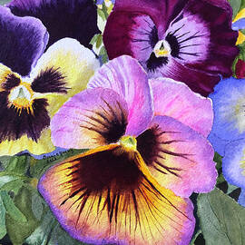 Pansies by Bonnie Young