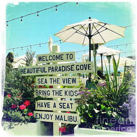 Paradise Cove Signs by Nina Prommer