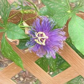 Passion Flower On Fence by Aimee L Maher ALM GALLERY