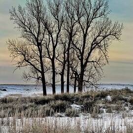 Pastel Winter Silhouette #2 by Jerry Abbott