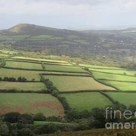 Patchwork Of Fields From Ugborough Beacon by Lesley Evered