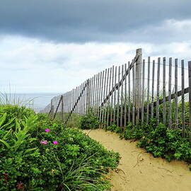 Path to Marconi Beach, Wellfleet, Cape Cod, MA  by Lyuba Filatova