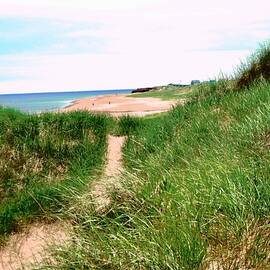 Path to the Beach by Stephanie Moore