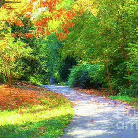 Pathway To Autumn by Mel Steinhauer