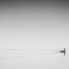 Peaceful Lake by Agustin Uzarraga
