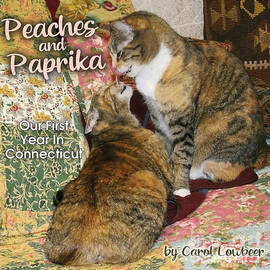 Peaches and Paprika Cover Art for Published Book by Carol Lowbeer