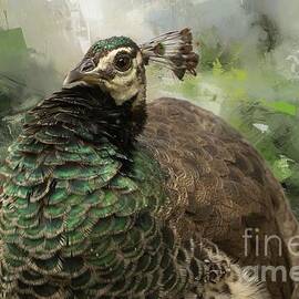 Peahen Dance by Eva Lechner