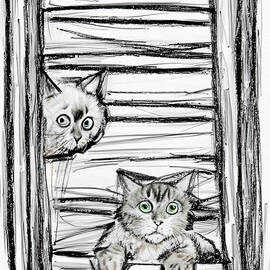 Peeking Cats by C H Apperson