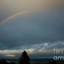 Perry Rainbow by Alana Ranney