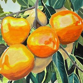 Persimmons by Phyllis Weiss
