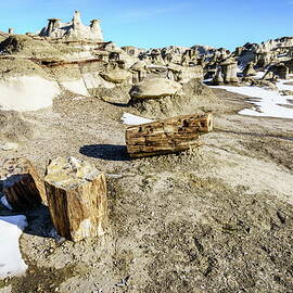 Petrified wood at Bisti Badlands by Alexey Stiop